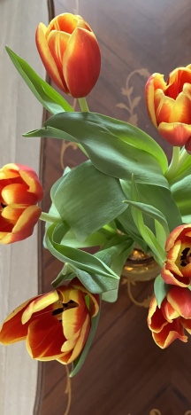 Март 2026 - такая дружная весна! Март 2026 - такая дружная весна!