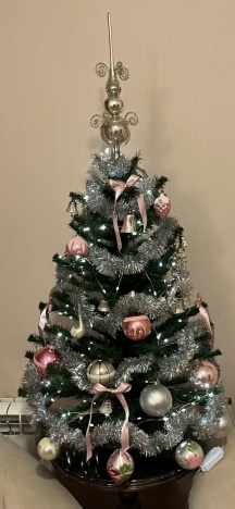 Декабрь 2025 - зима пришла к Новому году!